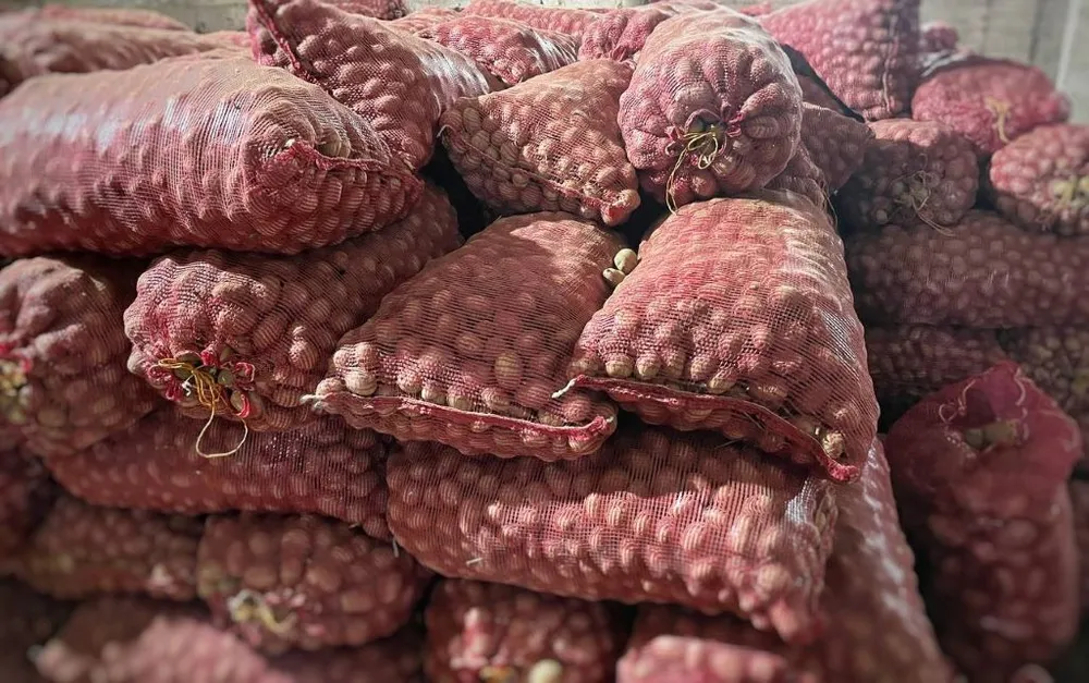 Оборудование для сортировки картофеля устанавливают в с. Валдгейм ЕАО