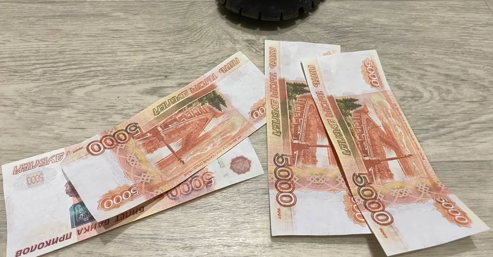 Конфисковали 1,5 млн рублей и отправили на девять лет в тюрьму жителя Хабаровского края