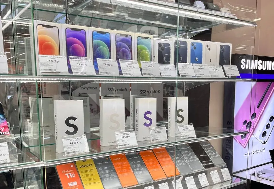 Серийные кражи из магазинов техники раскрыли полицейские Биробиджана