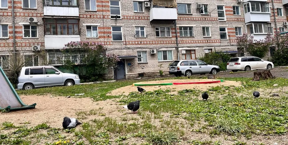 Переполненные стоками колодцы на одной из улиц Биробиджана обнаружила прокуратура