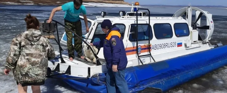 Хотел спасти питомца, но попал в ледяную ловушку мужчина в Приамурье