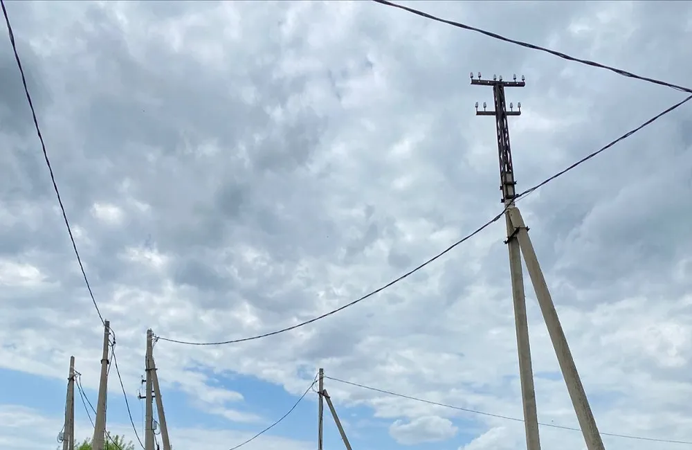 Умирают от ударов током, строя себе домик, птицы в ЕАО