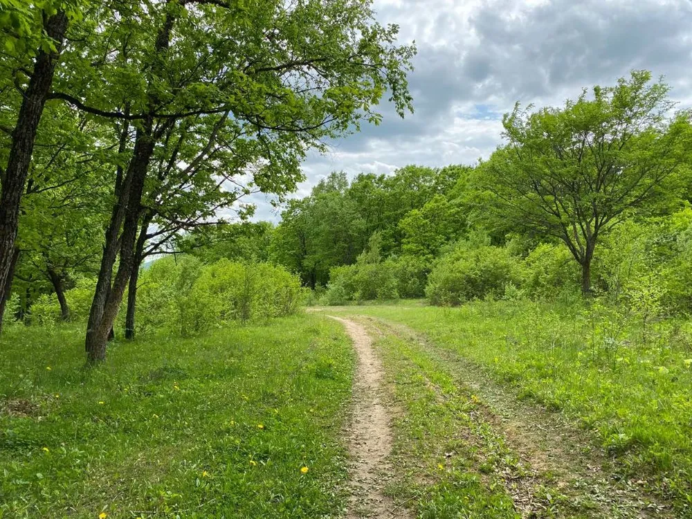 Особый противопожарный режим отменён в ЕАО