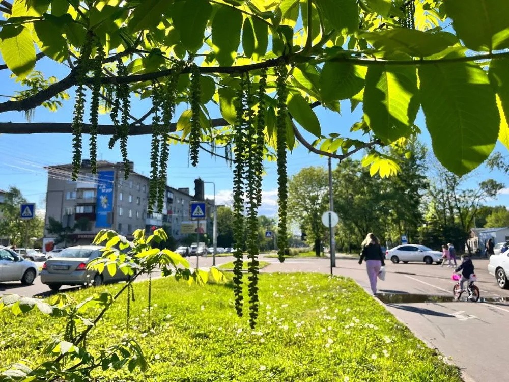 С размахом отметят День России в п. Приамурский ЕАО