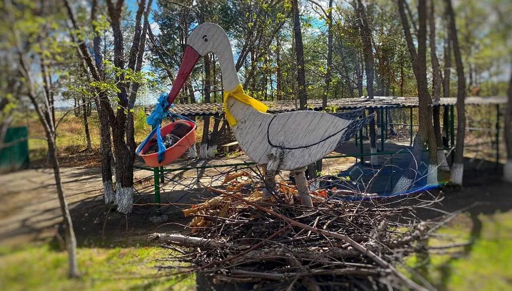 Лучшим детсадом России может стать дошкольное учреждение из Биробиджана