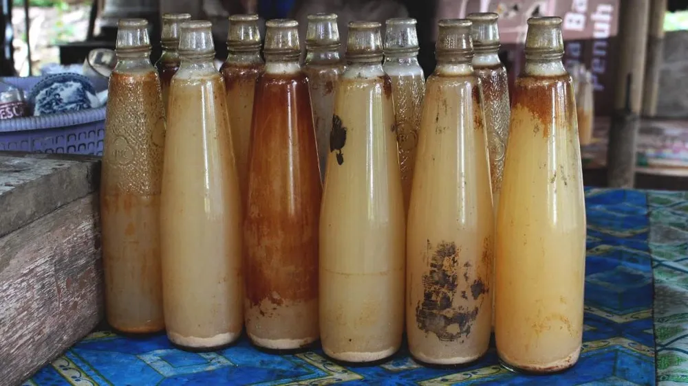 Самогон из дерева и уникальные люди - ты такое не загуглишь