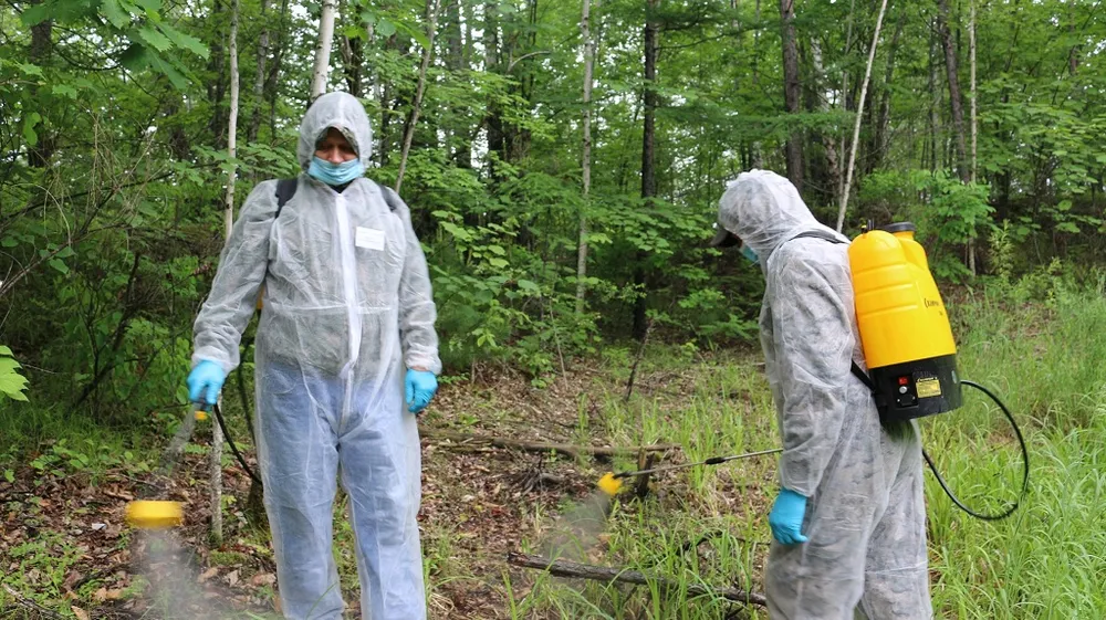 Падаль с признаками птичьего гриппа нашли в заповеднике «Бастак» ЕАО