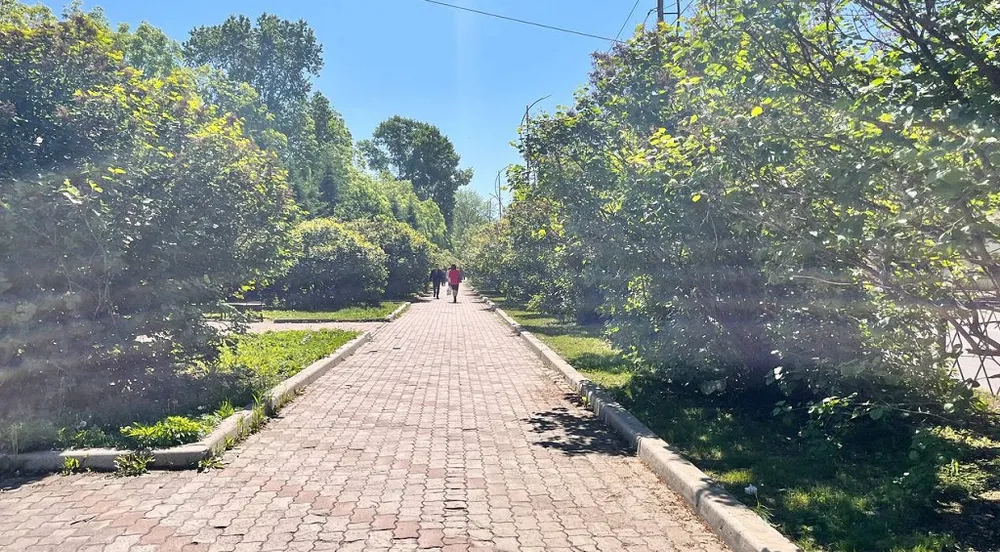 Ветер обещают во всех районах ЕАО - погода на 29 июля