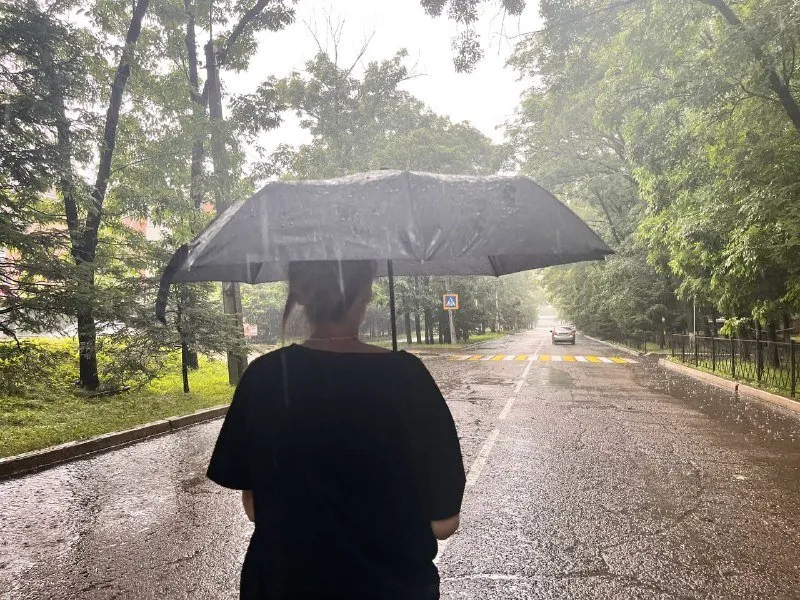 Прогноз погоды в Приамурье на 13 августа