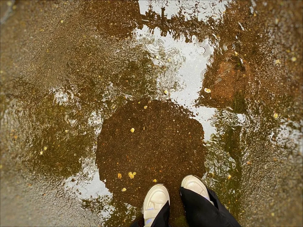 Дождливый день прогнозируют синоптики в Приамурье 20 августа