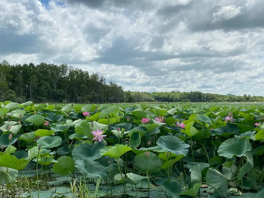 Межрегиональный туризм намерены развивать ЕАО и Амурская область