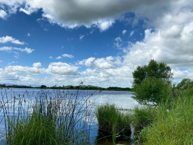 Без признаков жизни вытащили из воды мужчину жители ЕАО