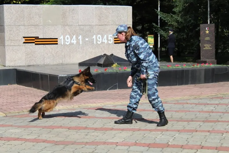 С работой служебных собак познакомили жителей и гостей Биробиджана