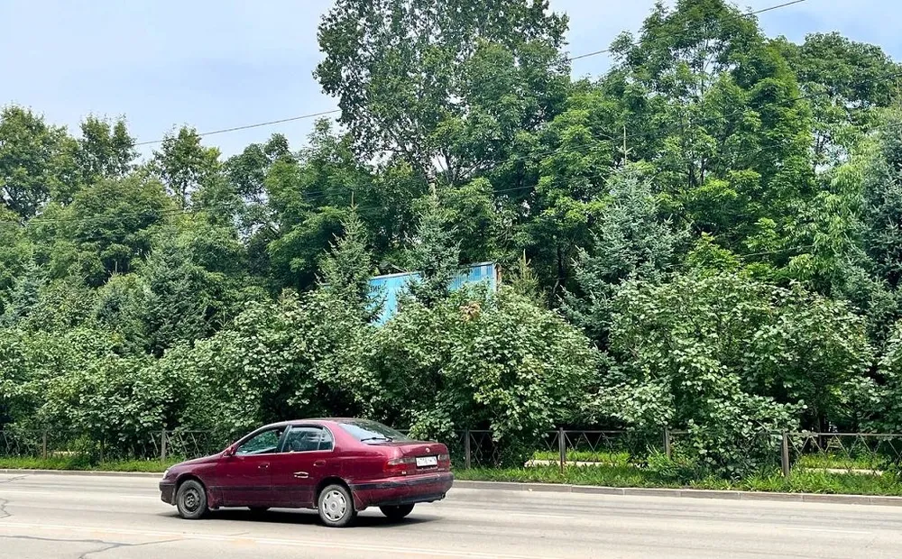 За долги едва не лишился авто молодой биробиджанец