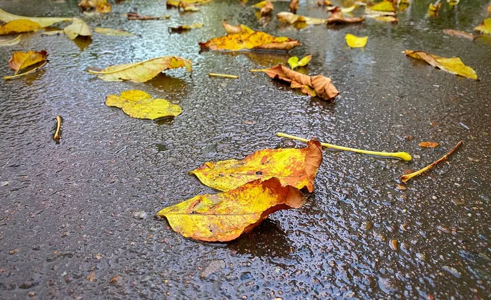 Теплый день с переменной облачностью прогнозируют в ЕАО - погода на 23 сентября