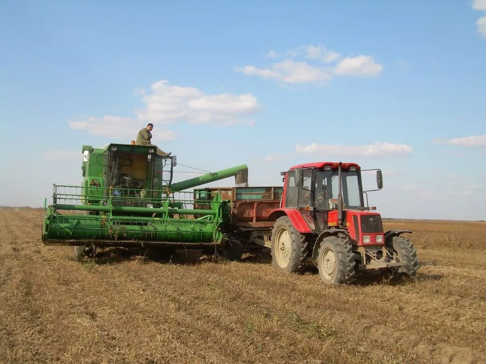 Горячая пора в Октябрьском районе: об агроуспехах в ЕАО