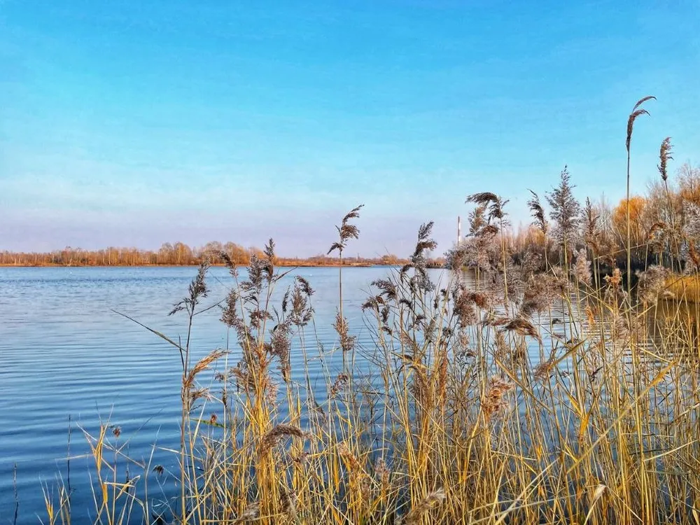 Солнечно и прохладно - прогноз погоды в ЕАО на 18 октября