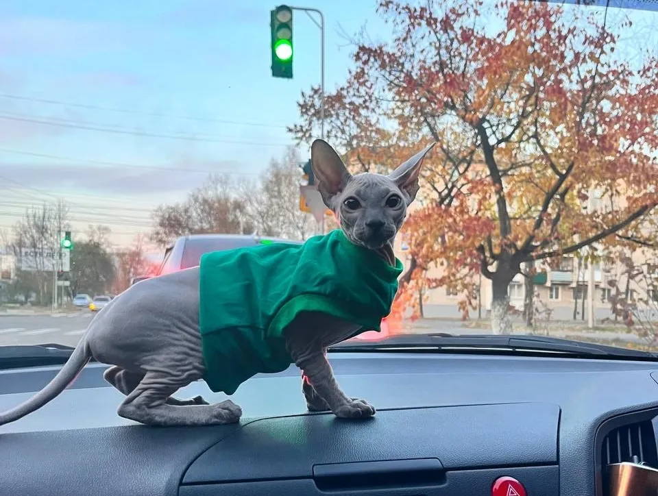 Ясную погоду обещают жителям Амурской области синоптики 27 октября