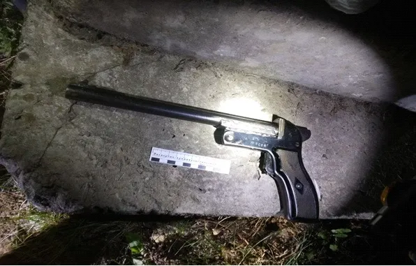 Убили выстрелом в голову из-за нескольких миллионов рублей человека в ЕАО