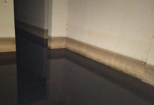 «Господь Бог поможет»: расписалась в своём бессилии УК в Биробиджане