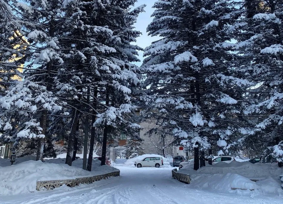 Морозную ночь обещают синоптики в Приамурье - прогноз погоды на 22 ноября