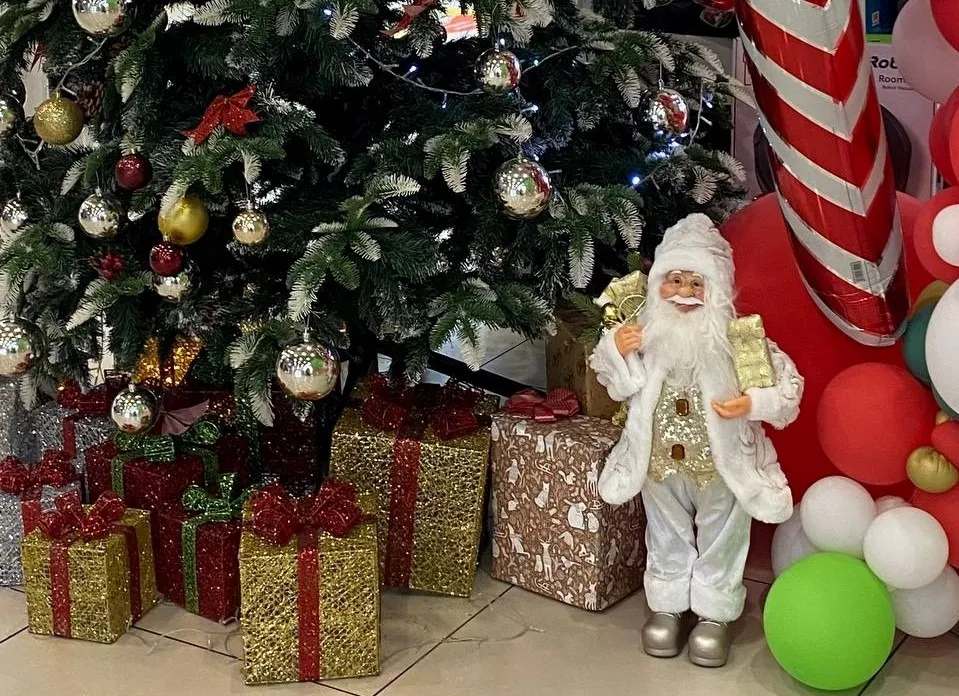 Ёлка с мэром пройдёт в Биробиджане