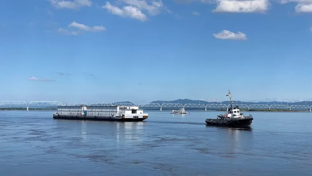 Названы основные товары импорта, ввезённого из Китая в ЕАО летом 2022 года