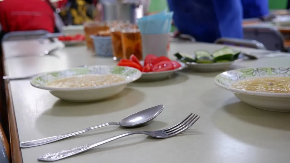 Отравились 15 малышей в детском саду Хабаровска