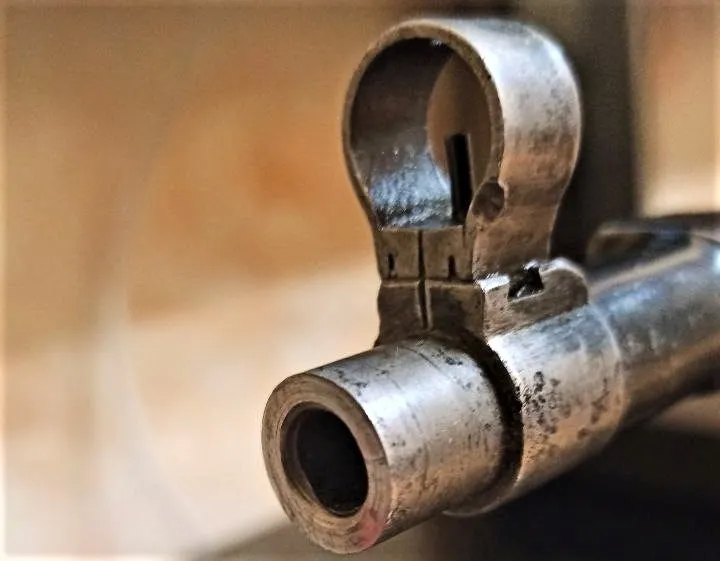 Владельцев оружия тщательно проверяют в ЕАО