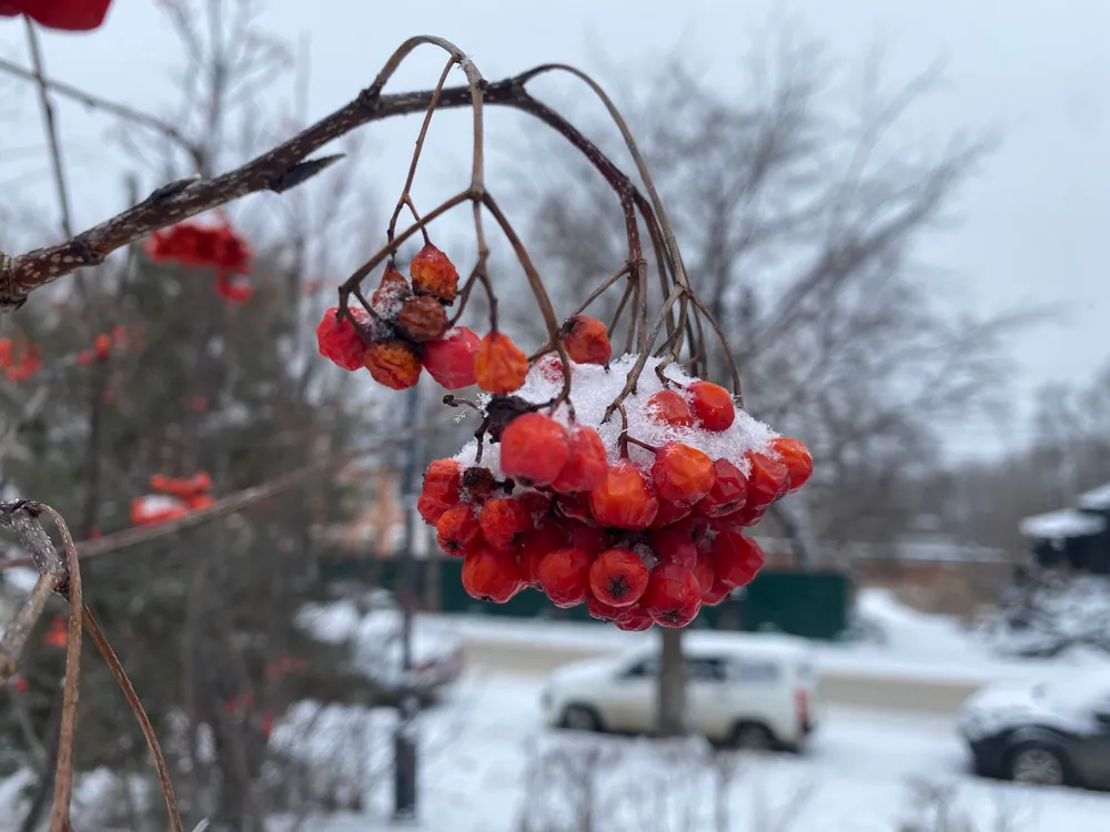 Ясная погода сопроводит начало новой недели в ЕАО