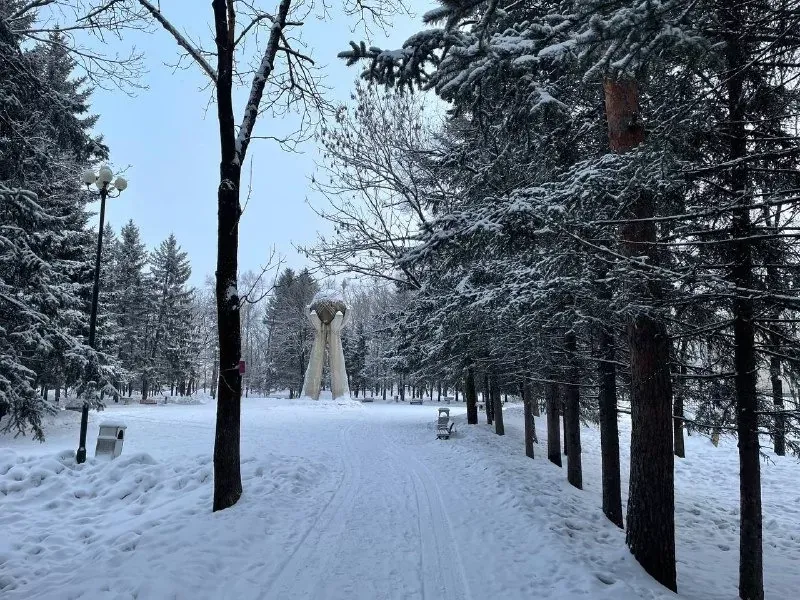 Ясную и морозную погоду обещают в ЕАО - прогноз на 20 декабря