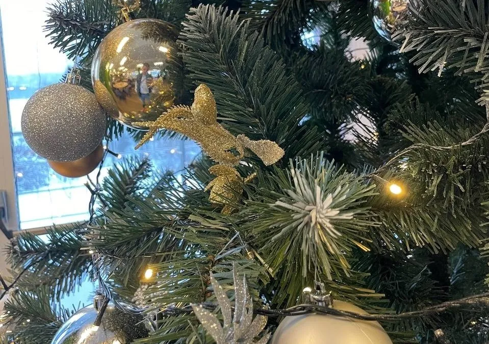 Сколько будет стоить ёлка к Новому году в Биробиджане