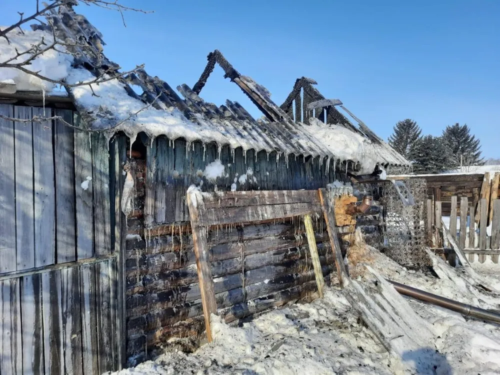 Заживо сгорели домашние животные в Биробиджане