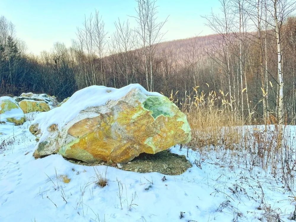 Брикет-приманку с привлекательным запахом используют для вакцинации диких зверей в ЕАО