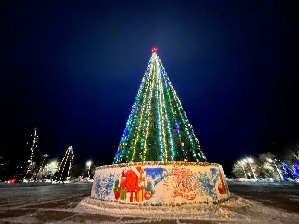 Программа новогодних мероприятий в Биробиджане