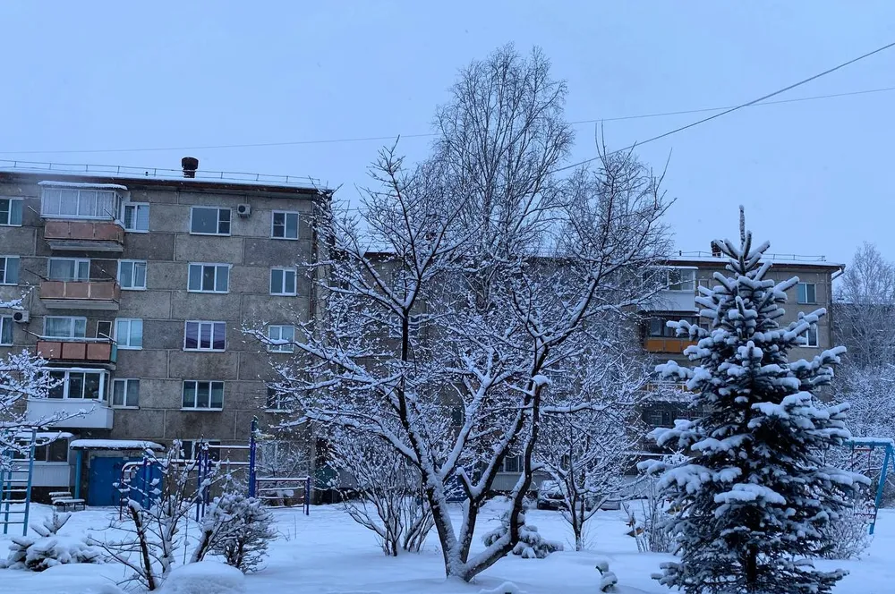 Снег ожидается в ЕАО 22 декабря - прогноз погоды