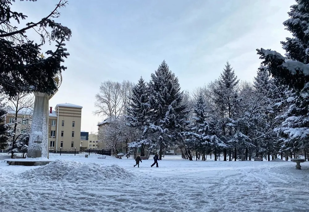 Небольшой снег и сильный туман - прогноз погоды в ЕАО на 19 января