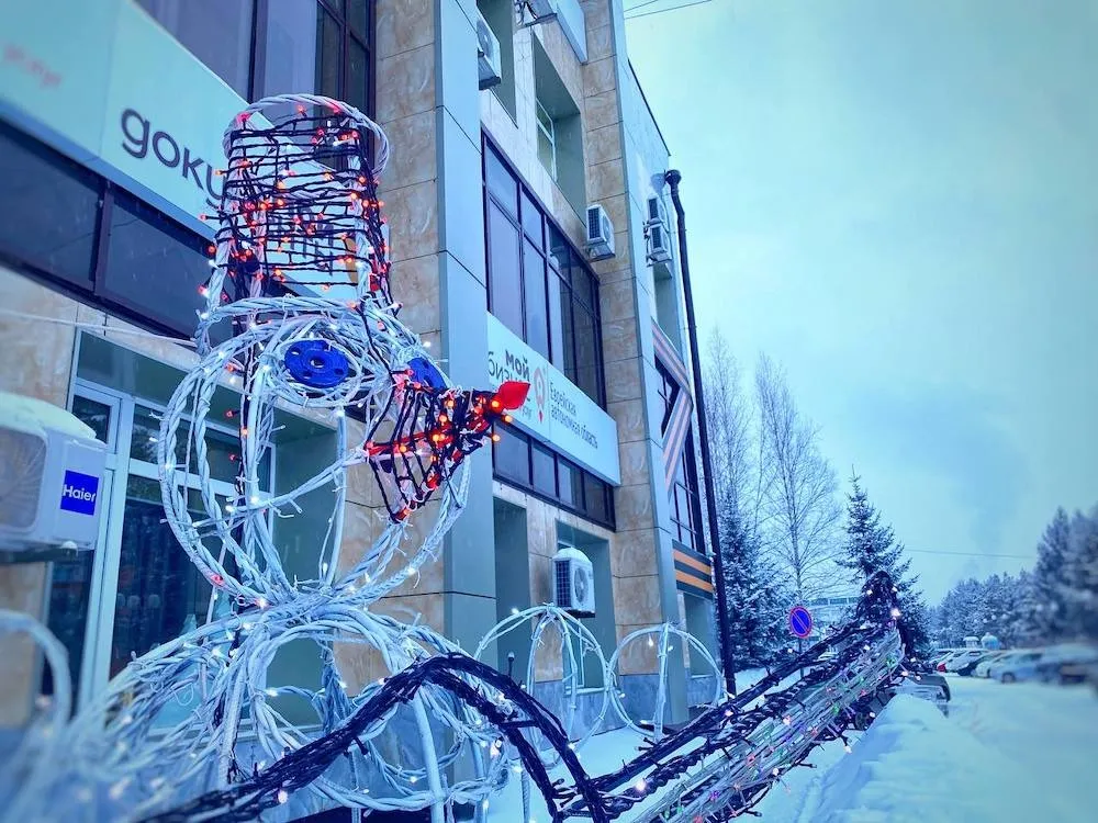 Ночью до -30° ожидается в ЕАО — прогноз погоды на 4 января