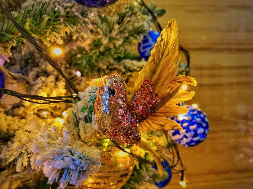 Такое нельзя пропустить: лучшие интервью LIVE DV в 2022 году