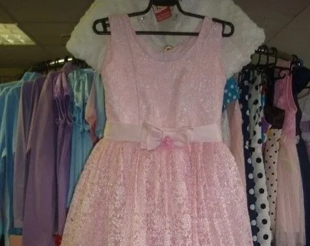 «Мама пьет, воспитывает дедушка»: скинуться на мечту ребенка предлагают мошенники в ЕАО