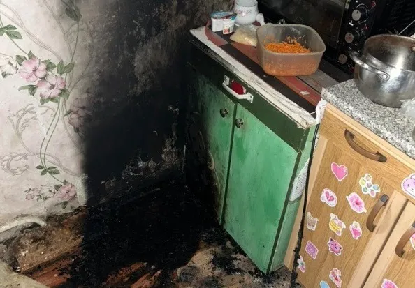 Коты стали виновниками пожара в селе Ленинского района ЕАО