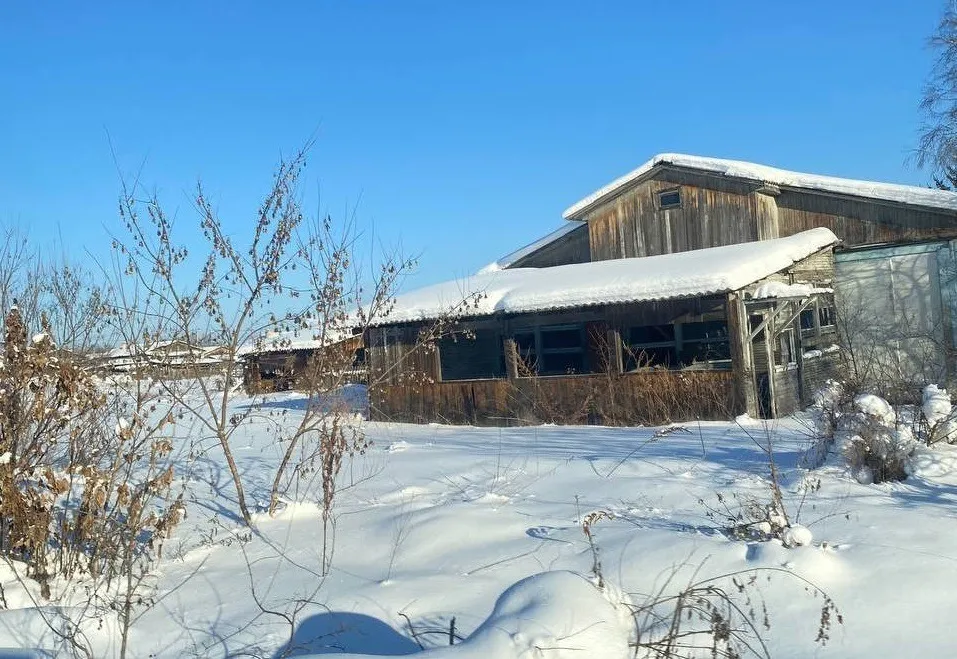 Проник в сарай и увёз коров на такси пьяный мужчина в Хабаровском крае