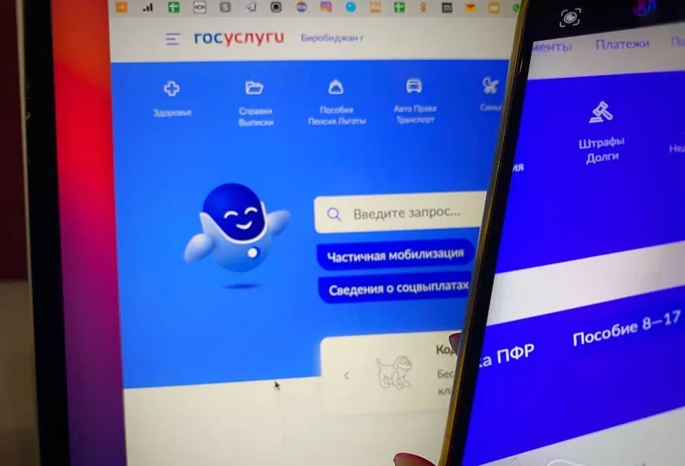 Новый вид мошенничества зарегистрирован в Биробиджане