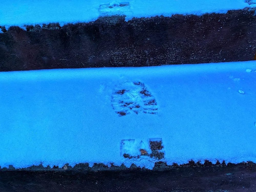 Подозреваемый в жестоком убийстве гулял на свободе 14 лет в Хабаровском крае