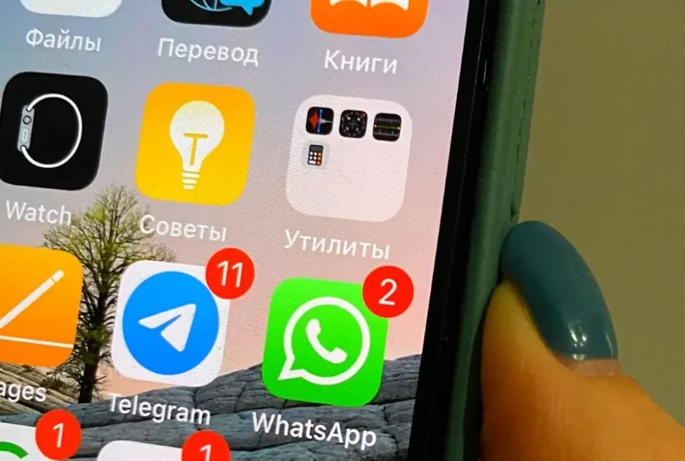 Отказаться от российского Telegram призывал глава WhatsApp Уилл Кэткарт