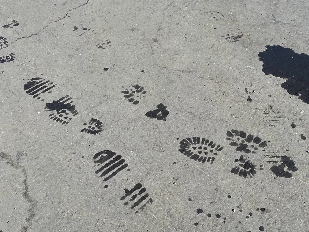 В жестоком преступлении подозревается мужчина в Хабаровском крае