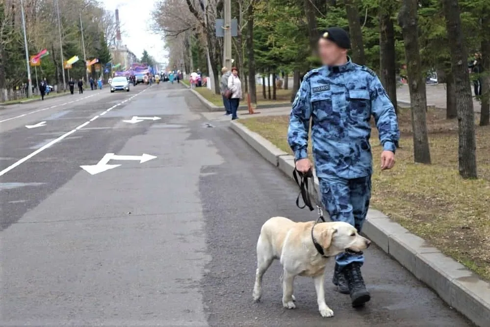 Женщины и дети, распространявшие наркотики, раскрыты Федеральной службой безопасности ЕАО