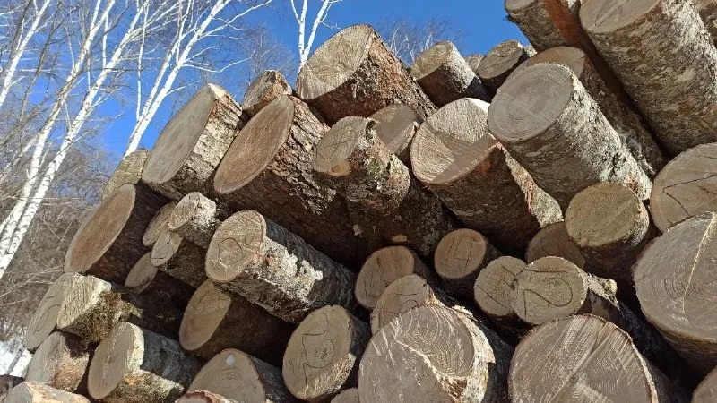 «Срубил» более 400 тысяч рублей мужчина в ЕАО