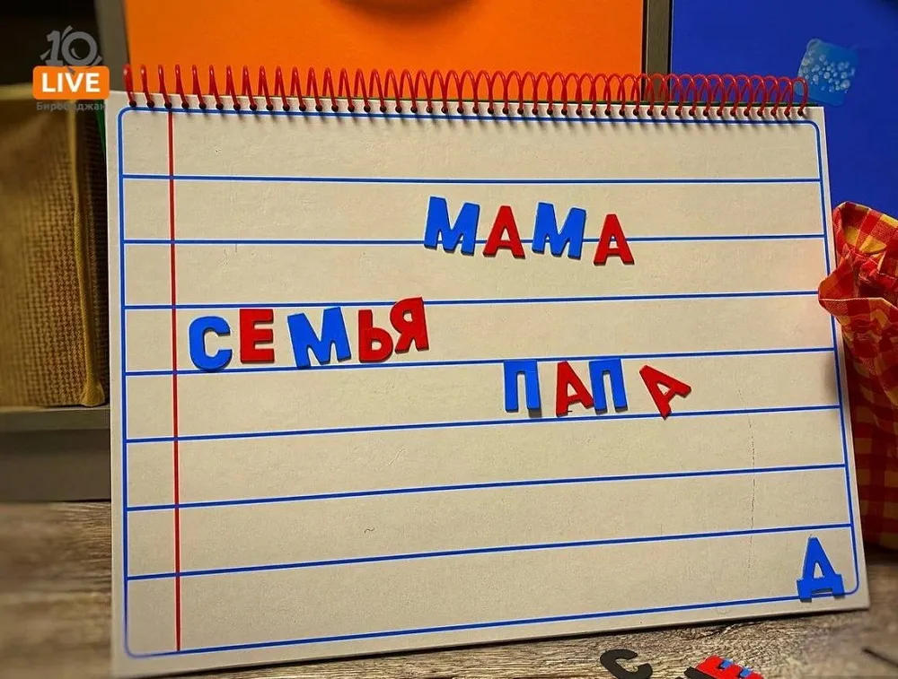 Систему сопровождения приемной семьи выстроят в ЕАО