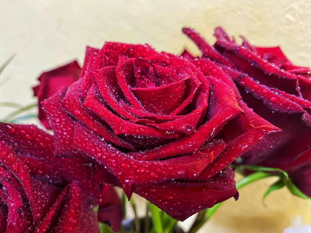 С Международным женским днём жительниц ЕАО поздравляет губернатор Ростислав Гольдштейн